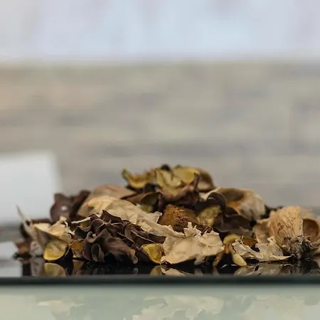 Apartament Silver - Nuvola Lavazza , Centro Citta